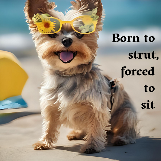 Dog Graphic T-Shirt - Fun Pet Lover Shirt - Born to Strut - Printed in Canada