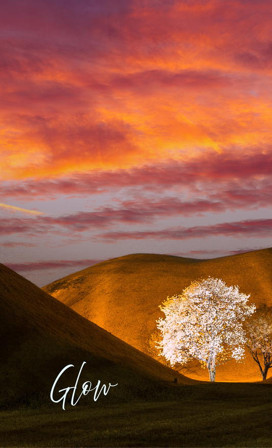Glow Phone Case from nature Photo, Natural glow for thought - Relaxing and calming nature design.  shipped from USA